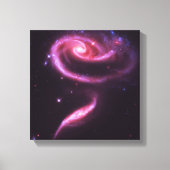 Hemelsroze Roos Stelsels Canvas Afdruk (Voorkant)