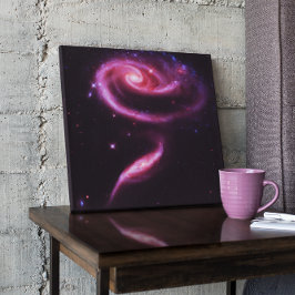 Hemelsroze Roos Stelsels Canvas Afdruk