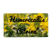 HEMEROCALLIS CITRINA LABEL (Voorkant)