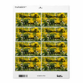HEMEROCALLIS CITRINA LABEL (Full Sheet)