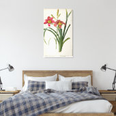 Hemerocallis fulva uit "Les Liliacees", 1805 Canvas Afdruk (Insitu (Slaapkamer))