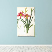 Hemerocallis fulva uit "Les Liliacees", 1805 Canvas Afdruk (Insitu (Houten vloer))