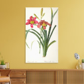 Hemerocallis fulva uit "Les Liliacees", 1805 Canvas Afdruk (Insitu (Woonkamer))