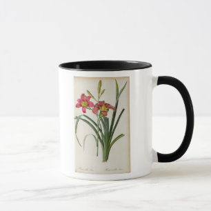 Hemerocallis fulva uit "Les Liliacees", 1805 Mok