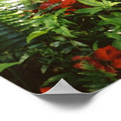 Hemingway cat 1 fontein Drink - Poster en afdrukke (Hoek)