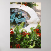 Hemingway cat 1 fontein Drink - Poster en afdrukke (Voorkant)