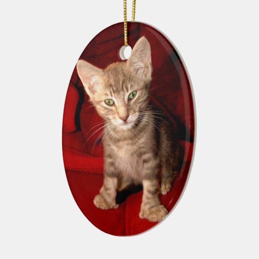 Hemingway Cat Keramisch Ornament (Links)