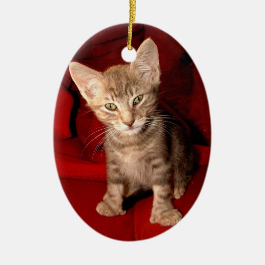 Hemingway Cat Keramisch Ornament (Voorkant)