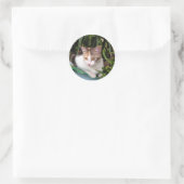 Hemingway Cat Ronde Sticker (Tas)
