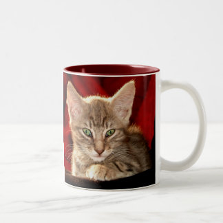 Hemingway Kitten Tweekleurige Koffiemok