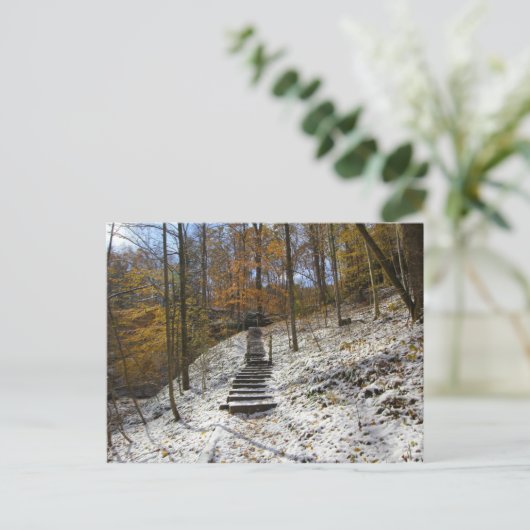 Hemlock Cliffs, Indiana Briefkaart (Staand voorkant)