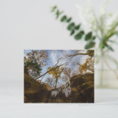 Hemlock Cliffs, Indiana in het najaar Briefkaart (Staand voorkant)