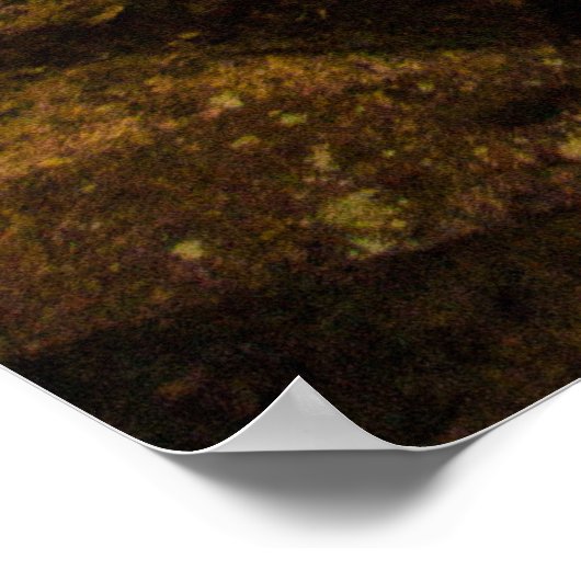 Hemlock Cliffs, Indiana in het najaar Poster (Hoek)