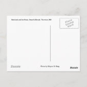 Hemlock & Iceflow, Smart's Brook, Thornton, NH Briefkaart (Achterkant)