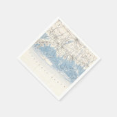  Hempstead Long Beach Long Island New York Servet (Hoek)