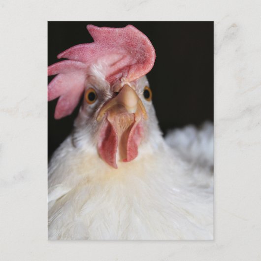 Hen Briefkaart (Voorkant)