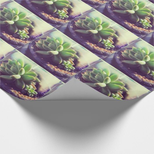 Hen en and Chicken Plant Cadeaupapier (Hoek)