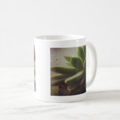 Hen en and Chicken plant Koffiemok (Voorkant rechts)