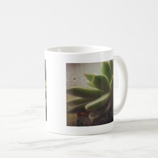 Hen en and Chicken plant Koffiemok (Voorkant rechts)