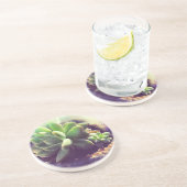 Hen en and Chicken Plant Zandsteen Onderzetter (Zijkant)