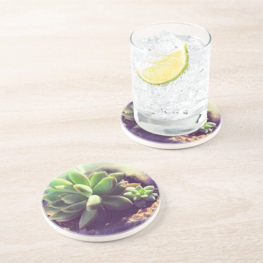 Hen en and Chicken Plant Zandsteen Onderzetter (Zijkant)