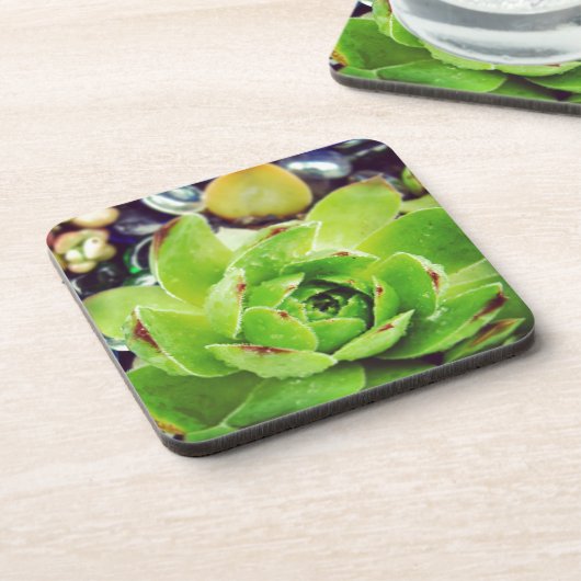 Hen en Chicken Bier Onderzetter (Linkerzijde)