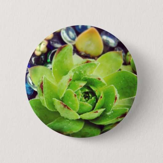 Hen en Chicken Ronde Button 5,7 Cm (Voorkant)