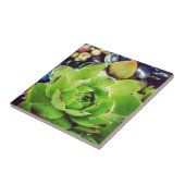 Hen en Chicken Tegeltje (Zijkant)