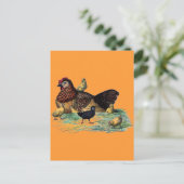 Hen- en Chicks Farming Scene Briefkaart (Staand voorkant)
