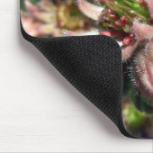 Hen- en cichorei (Sempervivum)-bloemen Muismat (Hoek)