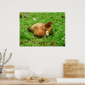 Hen en en Chick Poster (Keuken)
