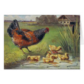 Hen en en Ducklings (Voorkant Horizontaal)