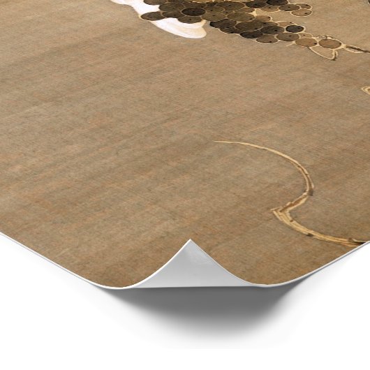 Hen en en Rooster met Grapevine van Ito Jakuchu Poster (Hoek)