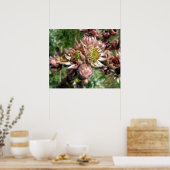 Hen en kuikens (Sempervivum) bloemen Poster (Keuken)