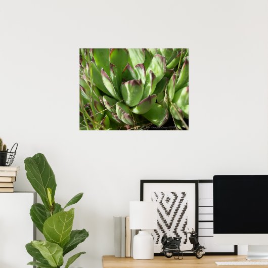 Hen en kuikens (Sempervivum) Poster (Thuiskantoor)