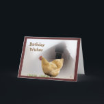Hen- en Old Barn Birthday-kaart Kaart<br><div class="desc">maak deze kaart voor elke gelegenheid door de woorden van binnen en van buiten te veranderen. Ga naar mijn CHICKENS & BANTAMS SECTIE om andere kaarten en geschenken te zien die kippen bevatten.</div>