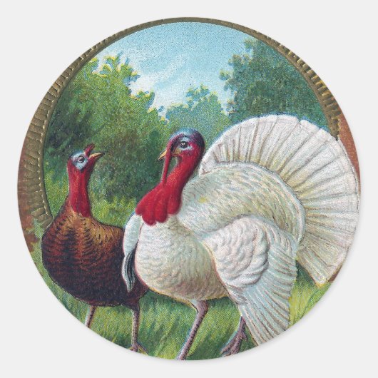 Hen en Tom Turkije  Thanksgiving Ronde Sticker (Voorkant)