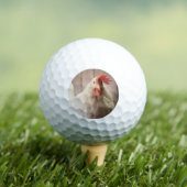 Hen Golfballen (Insitu Shirt)