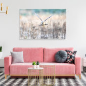 HEN harrier Canvas Afdruk (Insitu (Woonkamer))