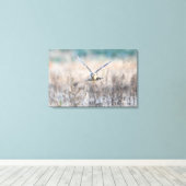 HEN harrier Canvas Afdruk (Insitu (Houten vloer))