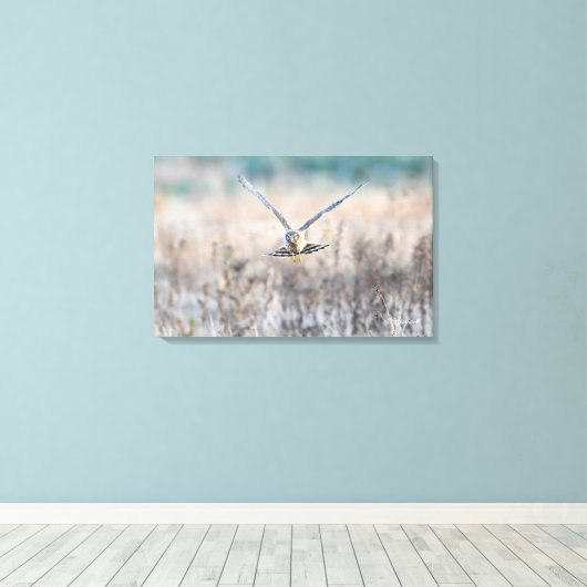 HEN harrier Canvas Afdruk (Insitu (Houten vloer))