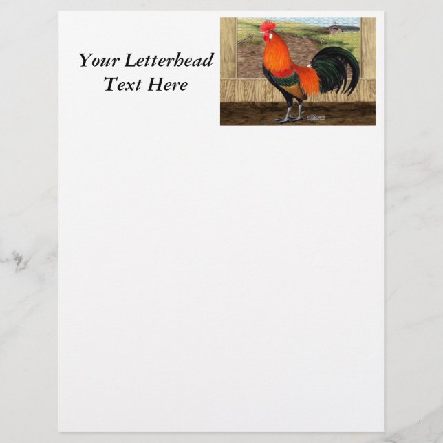 Hen House Hero (Voorkant)