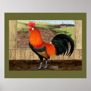 Hen House Hero Poster