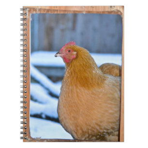 Hen in Coop Doorway Notitieboek