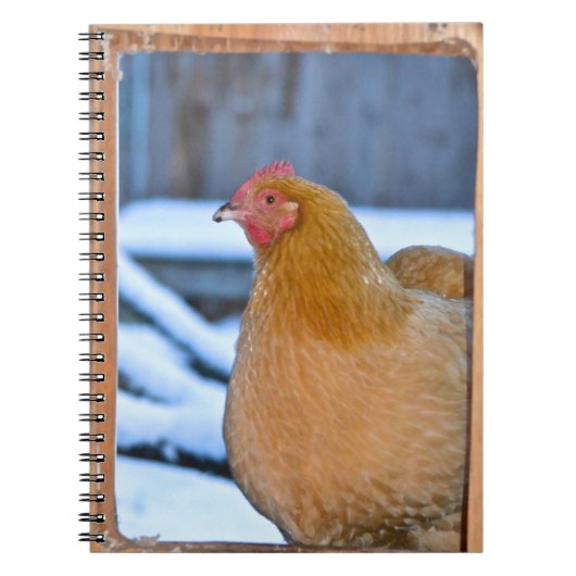Hen in Coop Doorway Notitieboek (Voorkant)