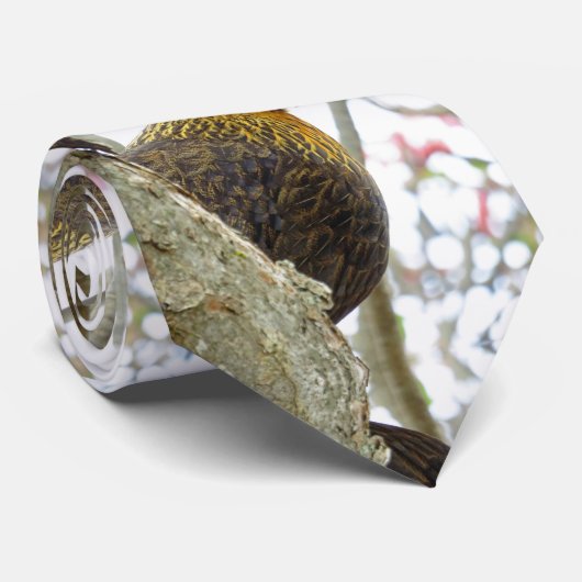 Hen in een Plumeria Stropdas (Opgerold)