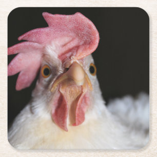 Hen Kartonnen Onderzetters