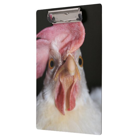 Hen Klembord (Links)