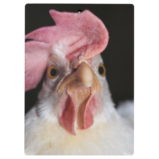 Hen Klembord (Achterkant)