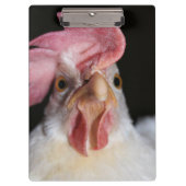 Hen Klembord (Voorkant)